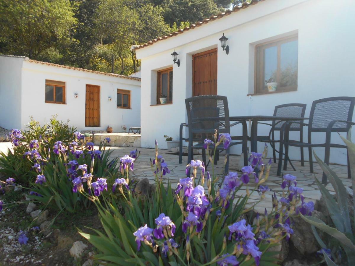 Вілла La Casita, Zagra La Carrera de la Vina Екстер'єр фото