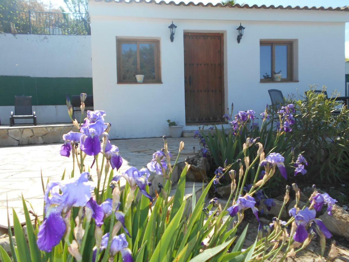 Вілла La Casita, Zagra La Carrera de la Vina Екстер'єр фото